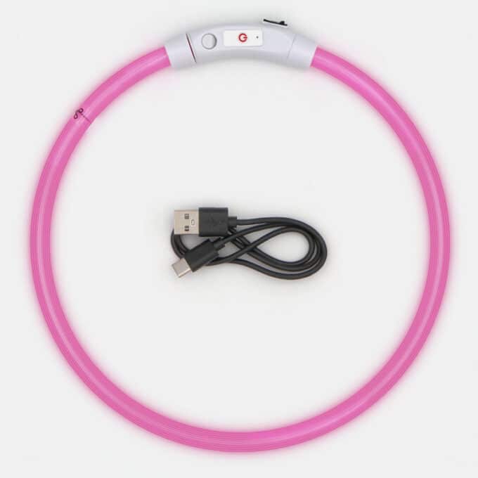 Collier lumineux rechargeable chien à poil long ou court de XS à XL