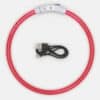 Collier lumineux rechargeable chien à poil long ou court de XS à XL