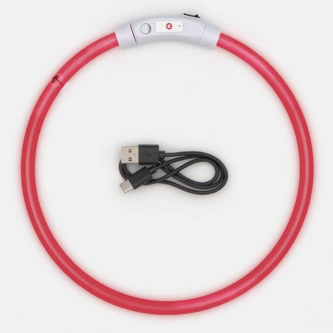 Collier lumineux rechargeable chien à poil long ou court de XS à XL