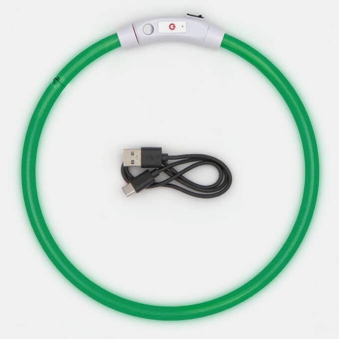 Collier lumineux rechargeable chien à poil long ou court de XS à XL