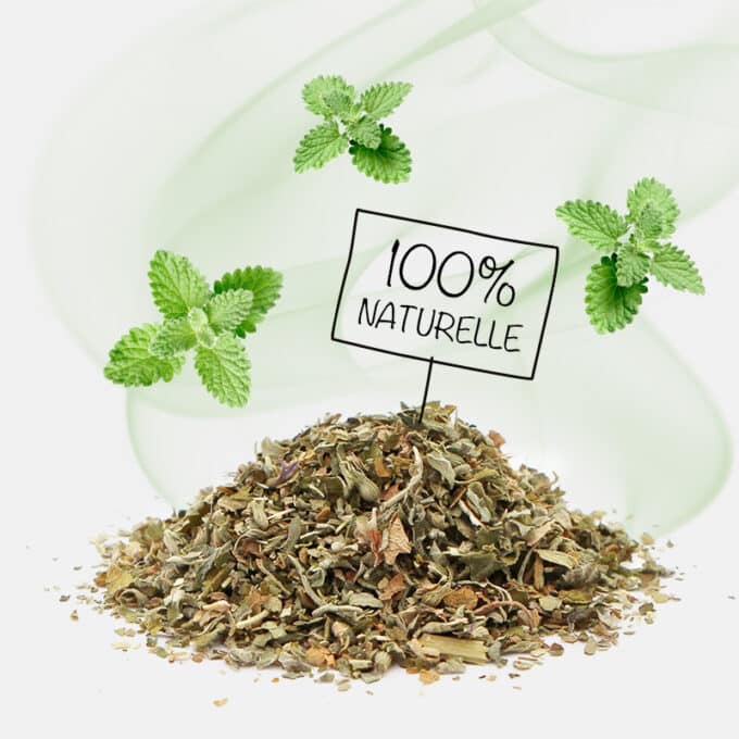 herbe-a-chat-sechee-sachet-cataire-3 Herbe à chat séchée cataire bio