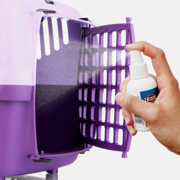 spray-matatabi-herbe-a-chat-3 Spray matatabi pour chat