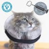 collerette-gonflable-chat-collier-gonflable-14 Collerette gonflable pour chat ou collier gonflé