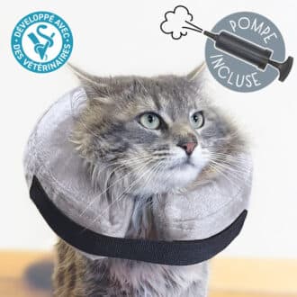 Collerette gonflable pour chat ou collier gonflé