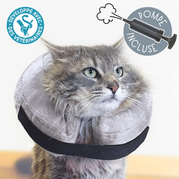 collerette-gonflable-chat-collier-gonflable-14 Collerette gonflable pour chat ou collier gonflé