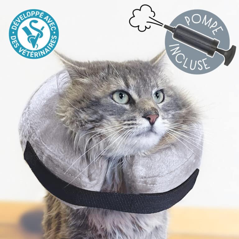 Collerette chat gonflable avec pompe • Collier de protection anti ...