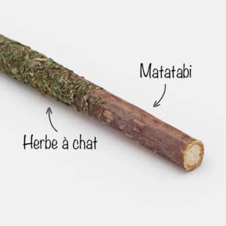 Baton de matatabi en stick recouvert de cataire en poudre pour chat