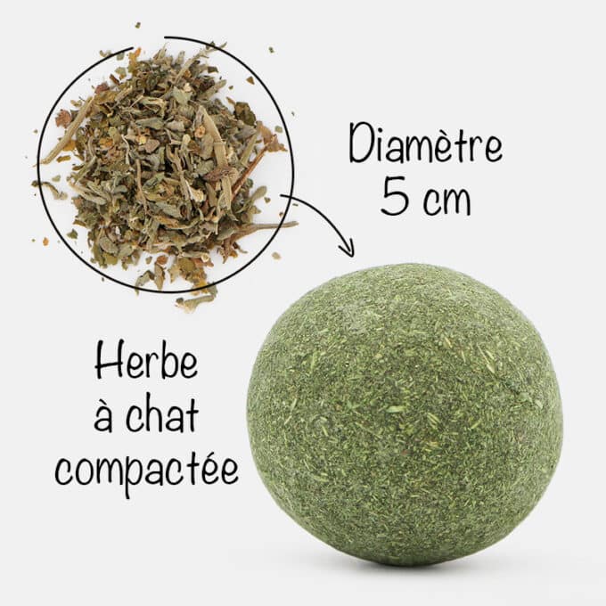balle-herbe-chat-cataire-3 Balle d'herbe à chat cataire