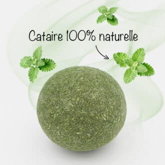 Balle d'herbe à chat cataire