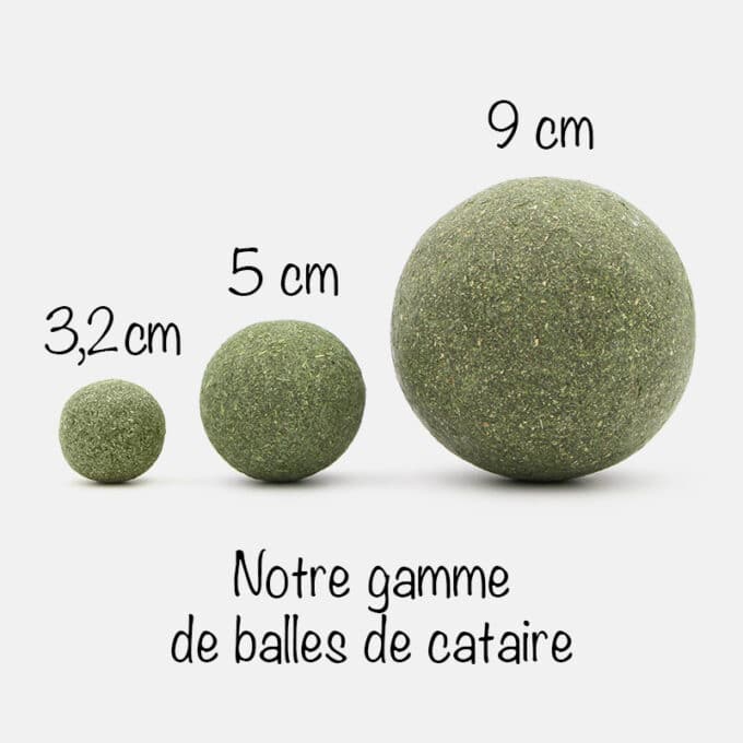 balle-herbe-chat-cataire-gamme Balle d'herbe à chat cataire