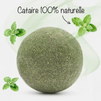 Balle d'herbe à chat cataire