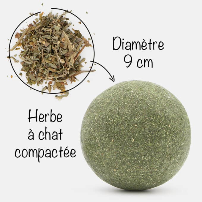 balle-herbe-chat-cataire-maxi-grosse-big Balle d'herbe à chat cataire