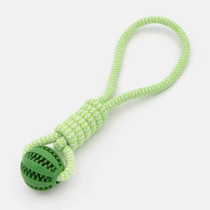 Corde avec balle dentaire à friandises pour chien