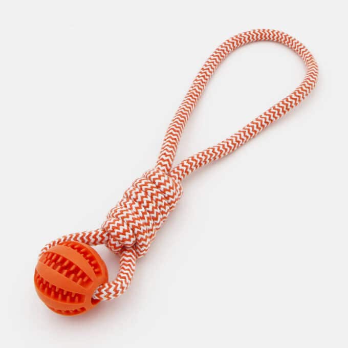 Corde avec balle dentaire à friandises pour chien