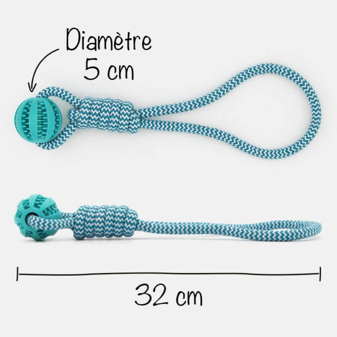 Corde avec balle dentaire à friandises pour chien