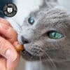 friandise-naturelle-chat-premium-bouchee-poulet Friandises naturelles premium pour chat bouchées tendres de poulet