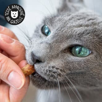Friandises naturelles premium pour chat bouchées tendres de poulet