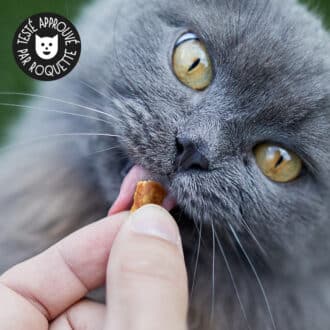 Friandises naturelles premium pour chat et chien bouchées d'oie