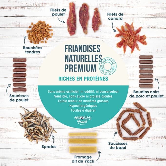 friandise-naturelle-chien-chat-premium-poisson-sprate-3 Friandises naturelles premium pour chat et chien petits poisson sprates