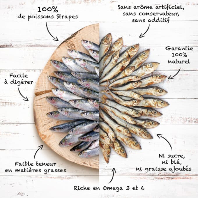 friandise-naturelle-chien-chat-premium-poisson-sprate-5 Friandises naturelles premium pour chat et chien petits poisson sprates