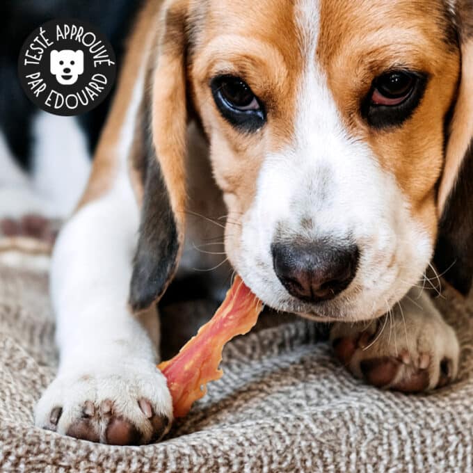 friandise-naturelle-chien-premium-filet-canard-6 Friandises naturelles premium pour chien filets de canard