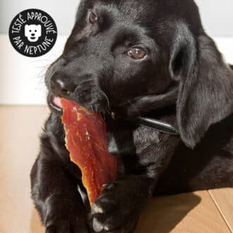Friandises naturelles premium pour chien filets de poulet