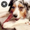 friandise-naturelle-chien-premium-filet-poulet-7 Friandises naturelles premium pour chien filets de poulet