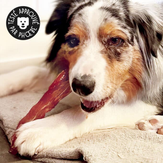 friandise-naturelle-chien-premium-filet-poulet-7 Friandises naturelles premium pour chien filets de poulet