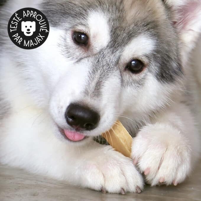 Friandises naturelles premium pour chien fromage de Yack