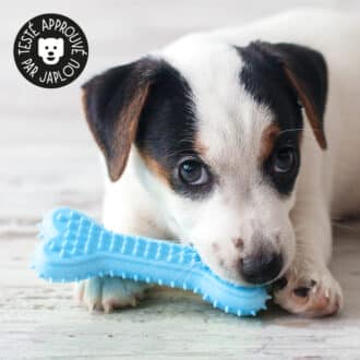 Jouet os en plastique pour nettoyer les dents du chien