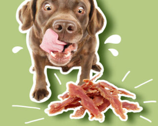 friandise naturelle pour chien fait maison