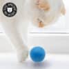 balle-interactive-chat Balle interactive pour chat