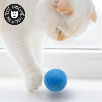 Balle interactive pour chat