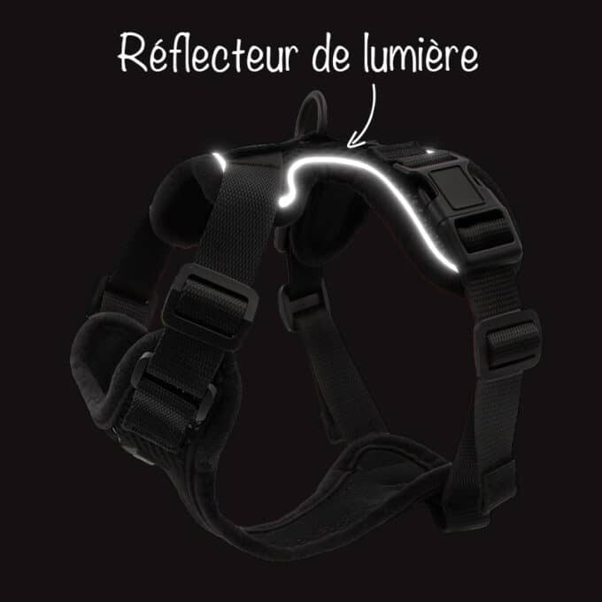 harnais-chat-anti-fugue-evasion-3 Harnais chat anti-évasion et anti-fugue