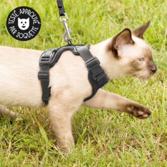 Harnais chat anti-évasion et anti-fugue