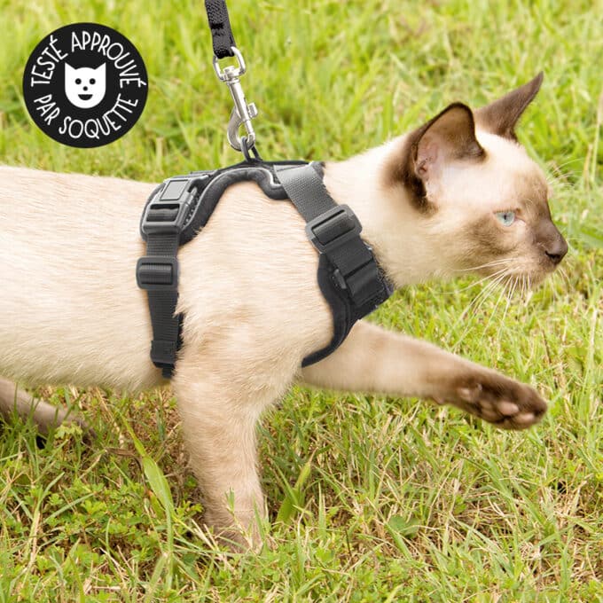 harnais-chat-anti-fugue-evasion-6 Harnais chat anti-évasion et anti-fugue