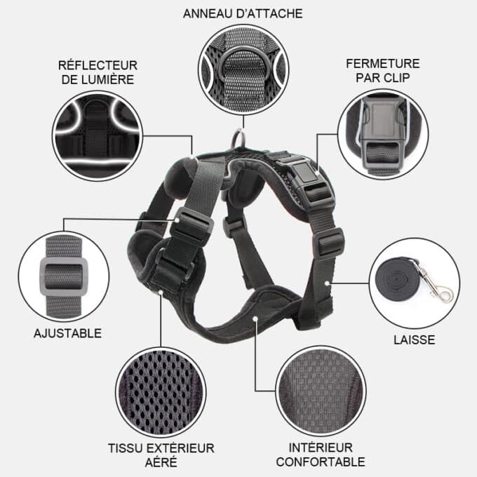 harnais-chat-anti-fugue-evasion Harnais chat anti-évasion et anti-fugue