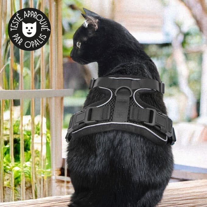 harnais-chat-anti-fugue-evasion-noir-2 Harnais anti évasion et anti fugue pour chat