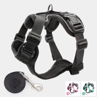Harnais chat anti-évasion et anti-fugue noir
