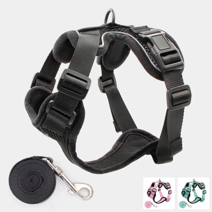 harnais-chat-anti-fugue-evasion-noir Harnais chat anti-évasion et anti-fugue noir