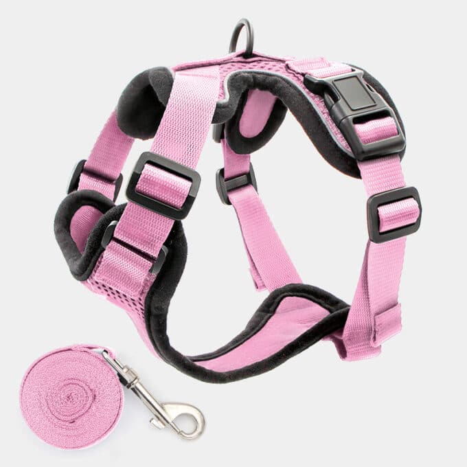 harnais-chat-anti-fugue-evasion-rose Harnais chat anti-évasion et anti-fugue rose