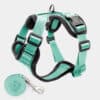harnais-chat-anti-fugue-evasion-vert-bleu Harnais chat anti-évasion et anti-fugue vert bleu