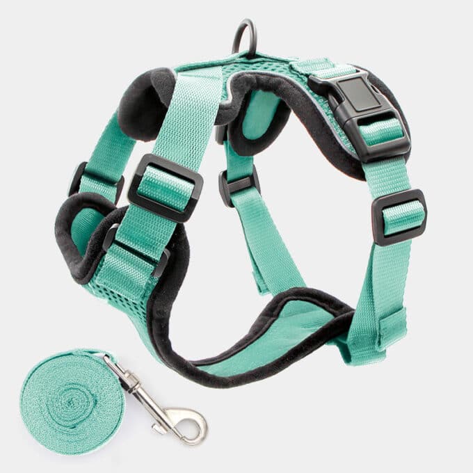 harnais-chat-anti-fugue-evasion-vert-bleu Harnais chat anti-évasion et anti-fugue vert bleu
