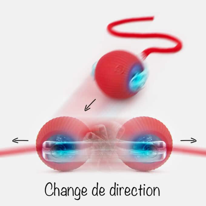 Balle interactive pour chien et chat qui avance toute seule comme une souris