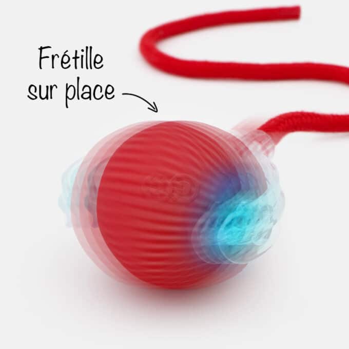 Balle interactive pour chien et chat qui avance toute seule comme une souris