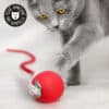 Balle interactive pour chat qui roule et bouge toute seule
