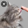 pate-anti-boule-poils-chat-solution-naturelle-1 Pâte anti boule de poils pour chat en solution naturelle à l'herbe à chat