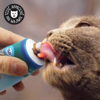 Pâte anti boule de poils pour chat en solution naturelle à l'herbe à chat