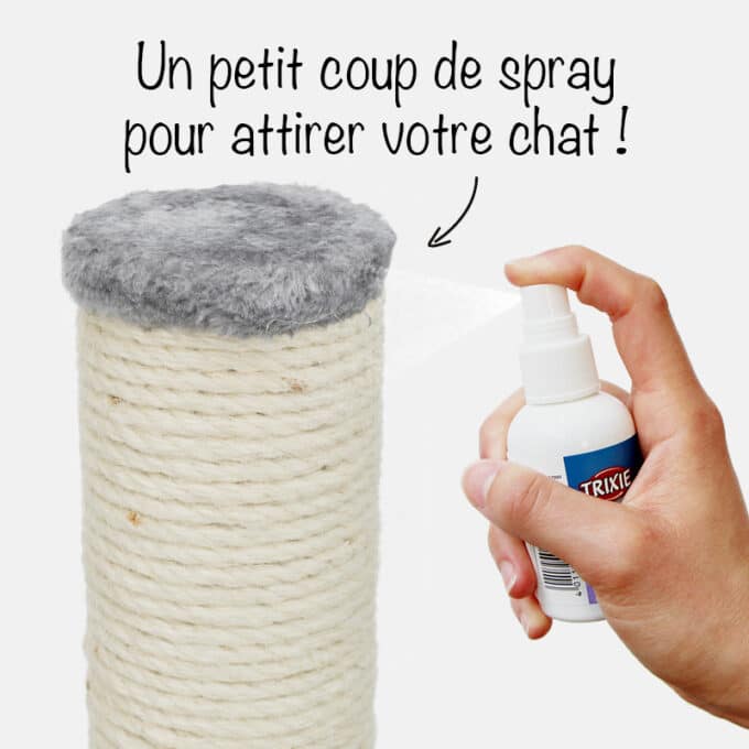Spray valériane pour chat