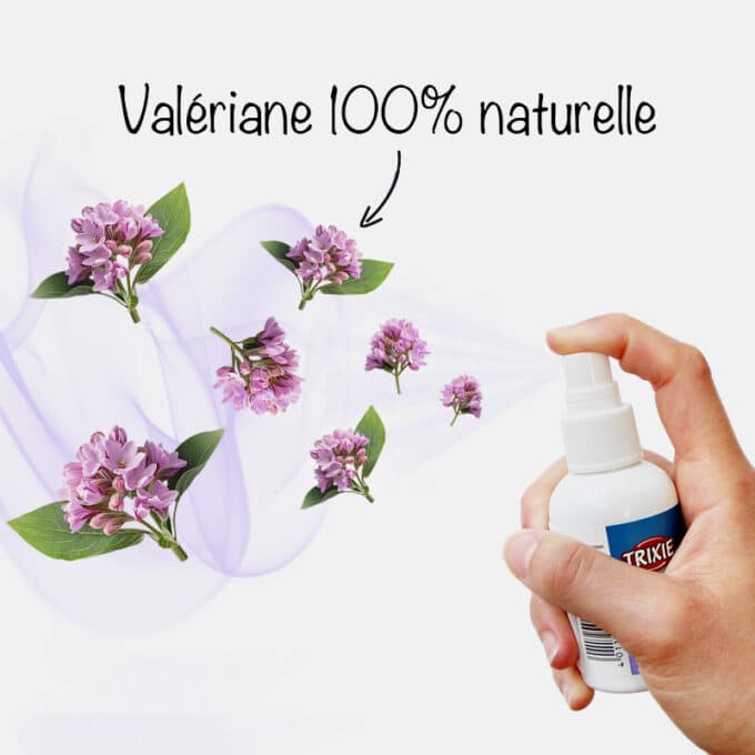 Spray valériane pour chat